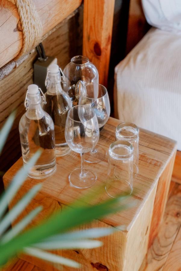Baja Nomads Hotel - Adults 15 Plus Тодос-Сантос Экстерьер фото