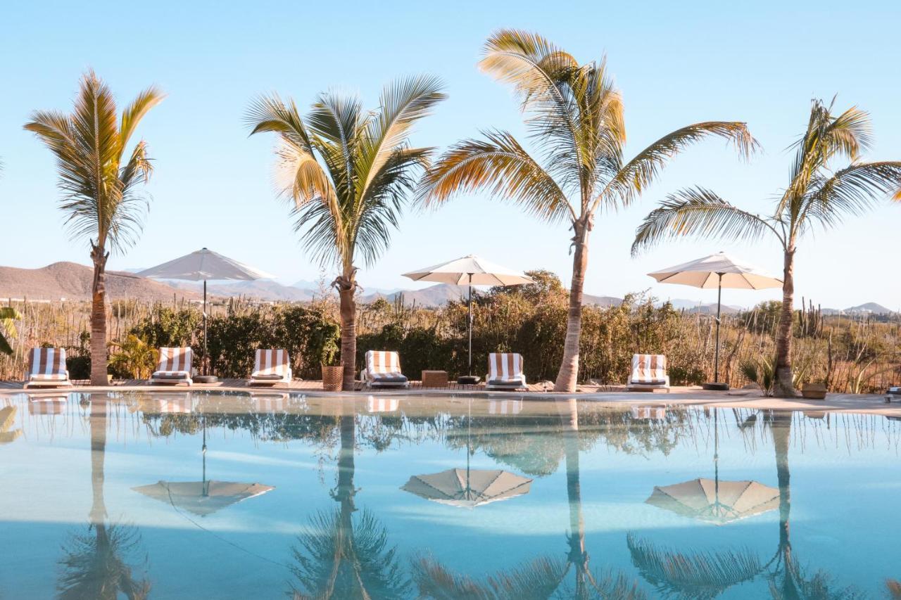 Baja Nomads Hotel - Adults 15 Plus Тодос-Сантос Экстерьер фото
